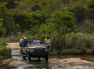 Inyati Gamr Reserve in the Sabi Sands