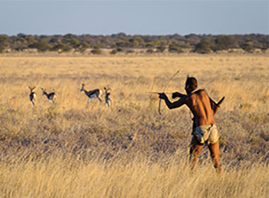 You may also be interested in ...