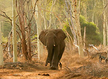 You may also be interested in ...