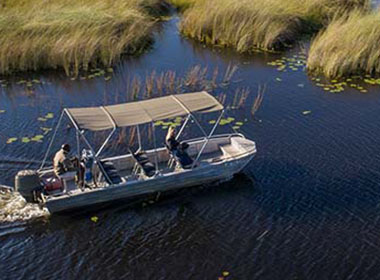 Camp Moremi Botswana