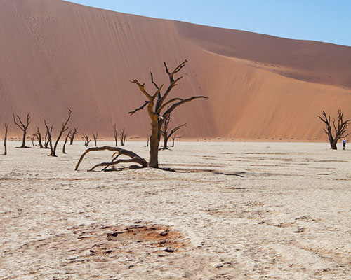 Deadvlei Namib-Naukluft Park Namibia