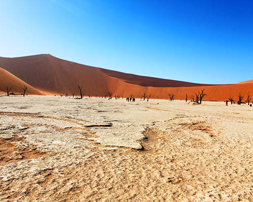 Deadvlei Namib-Naukluft Park Namibia