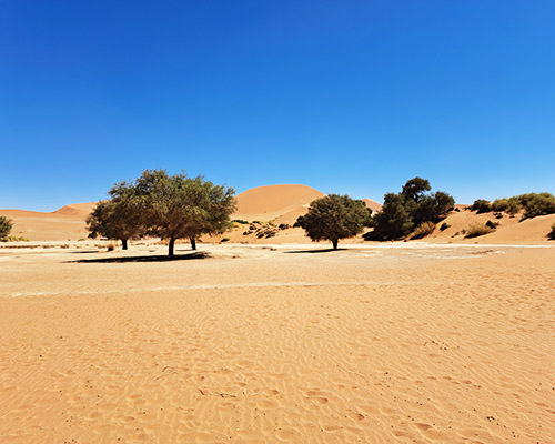 Soussesvlei Namibia