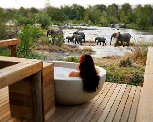 A travel trend here to stay is welness safaris