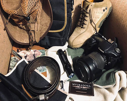 Travelling to South Africa