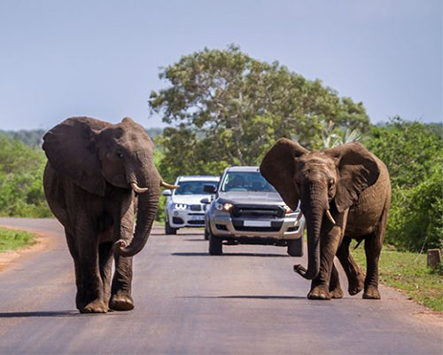 What to pack for your safari