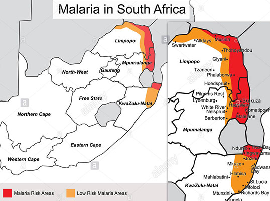 Malaria facts