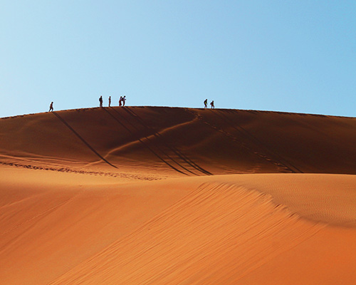 Big Daddy Dune: The Towering Giant of Sossusvlei