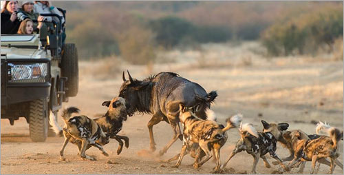 Travelling with children in South Africa