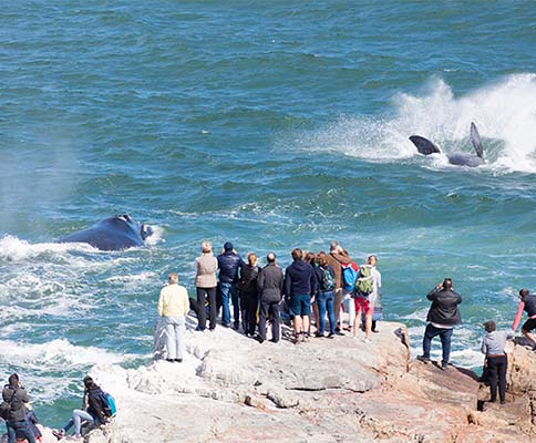 Facts about South Africa