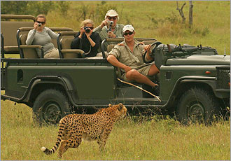 Experience the magic of Africa - Kruger Park SAfari