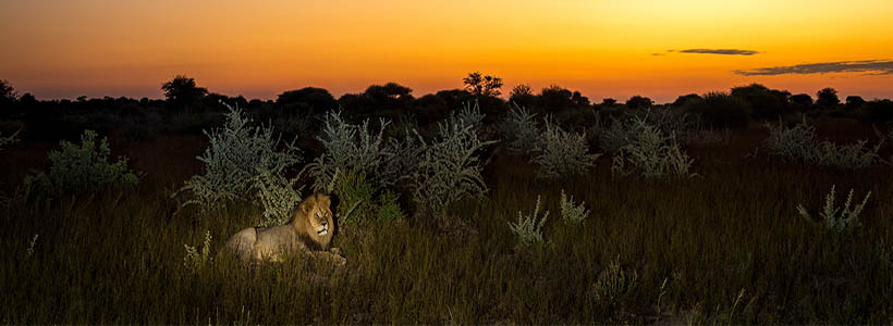 Inyati Private Game Reserve