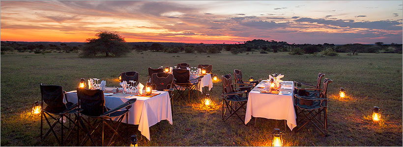 Tuli Safari Lodge safari accommodation