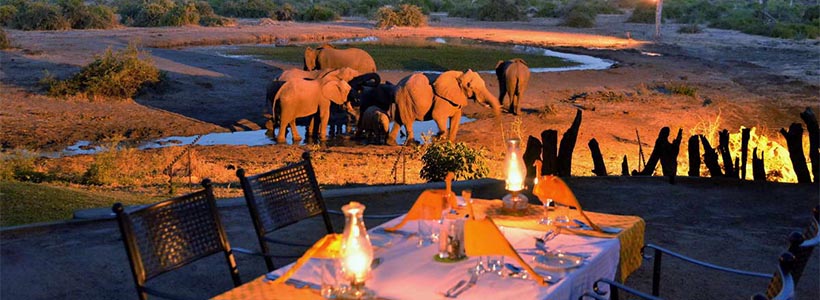 Elephant Valley Lodge with Go Safari