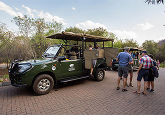 Ivory Tree Game Lodge