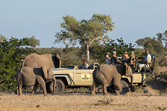 Mashatu Lodge game drive