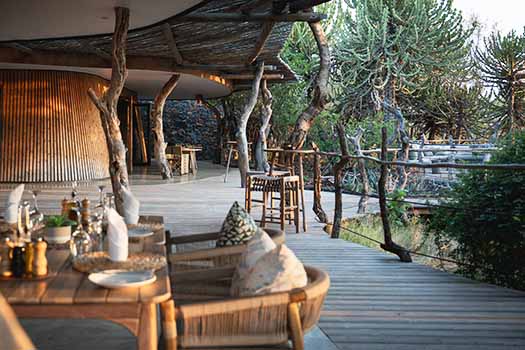 Eurphobia Mashatu with Go Safari