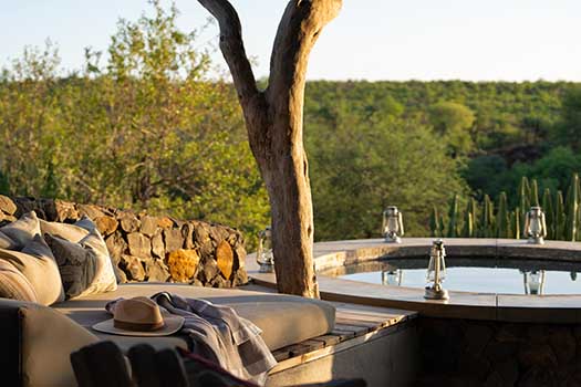 <strong>Eurphorbia Mashatu with Go Safari</strong>