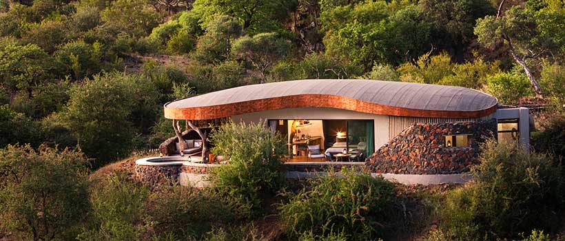 Eurphorbia Mashatu with Go Safari