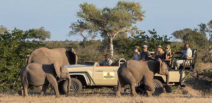 Mashatu six day fly in safari special