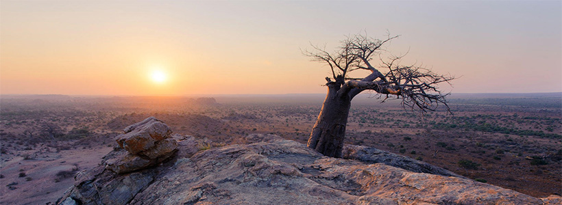 Mashatu Land of the Giants and amazing landscapes