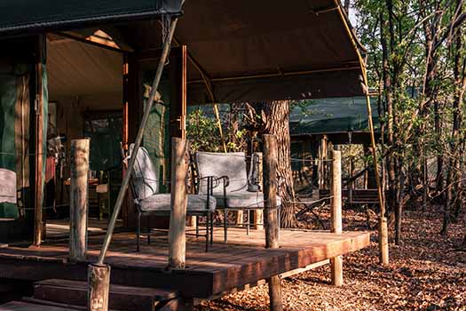 game drives and walking safaris