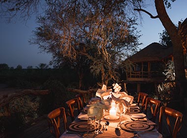 You may also be interested in ...