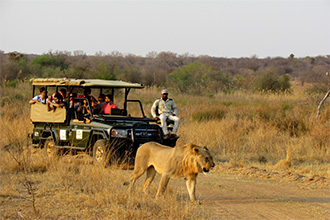 Mongena Game Lodge Dinoken game drive