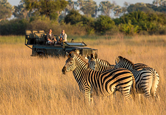 Okavango Delta Fly-In Safari 