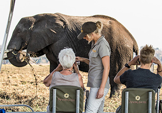 Photographic safari in Chobe Botswana
