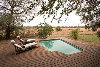 Plains Camp @ Rhino Walking Safaris is located in the Kruger National Park