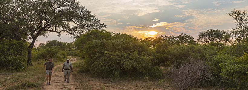 Thonybush Game Lodge with Go Safari
