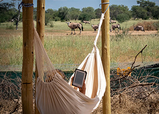 A True Eco-Safari - Wildlife Conservation in South Africa