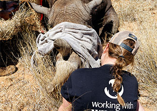 A True Eco-Safari - Wildlife Conservation in South Africa