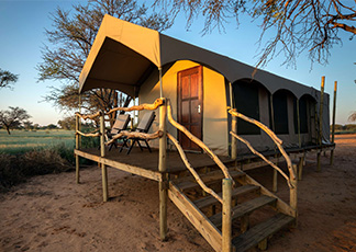 A True Eco-Safari - Wildlife Conservation in South Africa