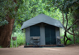 Pafuri Walking Safari