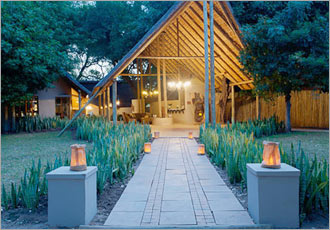 Enjoy the luxury of Simbavati in wild Africa