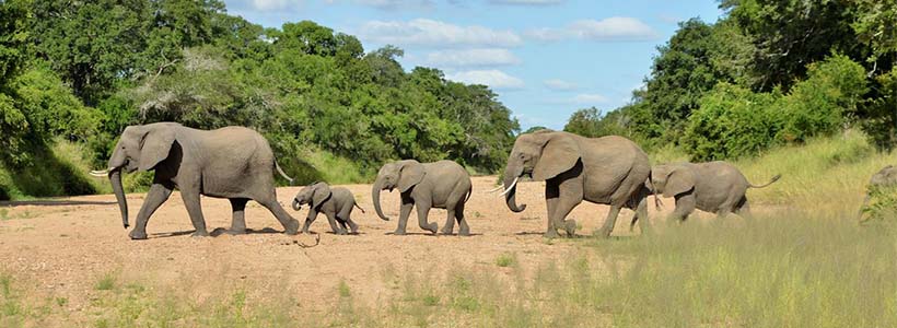 Imbalu Safari Lodge Kruger National Park