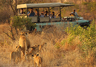 Lukimbi Safari Lodge