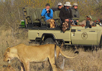 Mohlabetsi Safari Lodge - a lioness experience