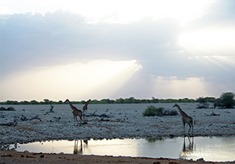 Namibia flying safari