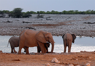 Namibia Luxury Lodge safari