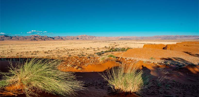 Experience the awe-inspiring beauty of Namibia's deserts on a captivating safari. Witness stunning landscapes and encounter unique desert wildlife