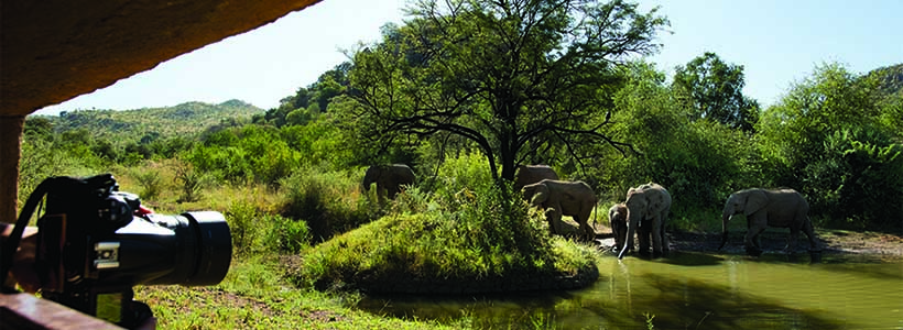 Kwa Maritane Bush Lodge